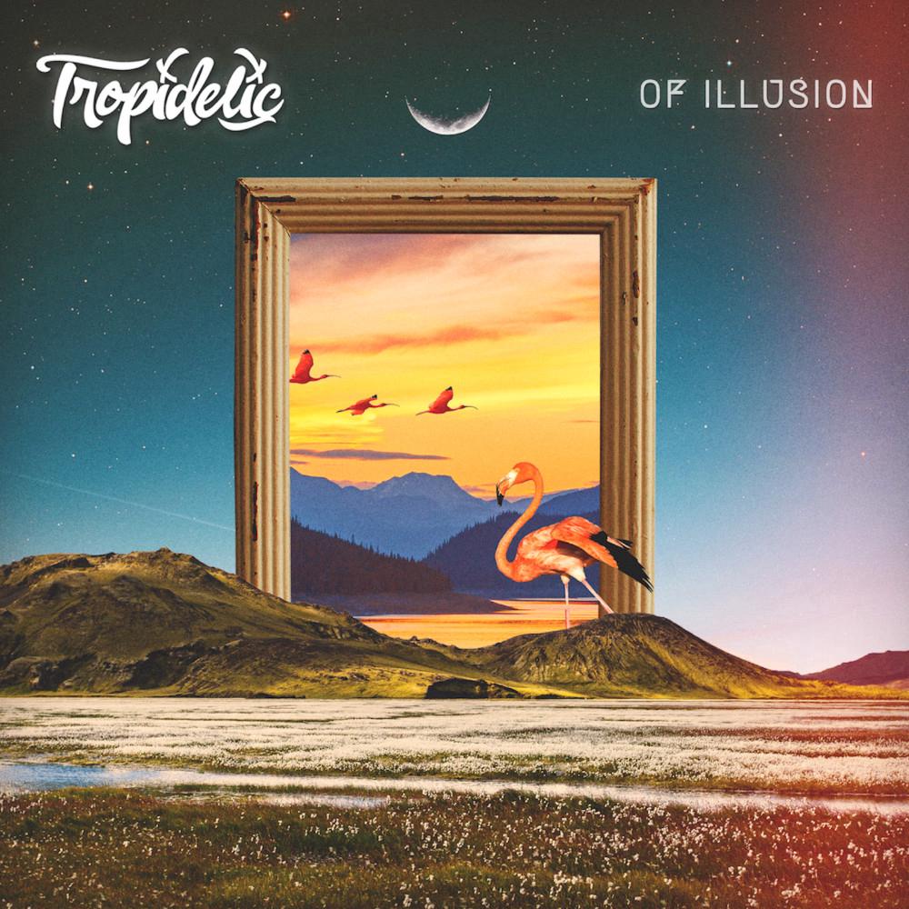 Tropidelic - IDWD (ft. The Quasi Kings)